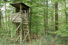 Gebäude Building Buildings Denkmal Denkmale Monument Monuments Naturfotograf Gerhard Kehr