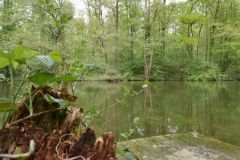 Gewässer Wasser Water Waters See Seen Lake Lakes Flus Flüsse River Rivers Naturfotograf Gerhard Kehr