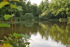Gewässer Wasser Water Waters See Seen Lake Lakes Flus Flüsse River Rivers Naturfotograf Gerhard Kehr