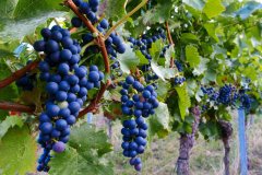 Landschaft Landschaften Landscape Landscapes Naturfotograf Gerhard Kehr