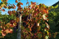 Landschaft Landschaften Landscape Landscapes Naturfotograf Gerhard Kehr