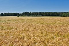 Landschaft Landschaften Landscape Landscapes Naturfotograf Gerhard Kehr