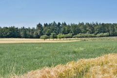 Landschaft Landschaften Landscape Landscapes Naturfotograf Gerhard Kehr