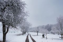 Landschaft Landschaften Landscape Landscapes Naturfotograf Gerhard Kehr