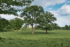 Landschaft Landschaften Landscape Landscapes Naturfotograf Gerhard Kehr