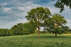 Landschaft Landschaften Landscape Landscapes Naturfotograf Gerhard Kehr