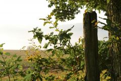 Landschaft Landschaften Landscape Landscapes Naturfotograf Gerhard Kehr
