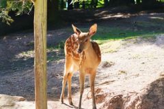 Unsortierte Hochkantfotos unsorted Photos 9/16 Naturfotograf Gerhard Kehr