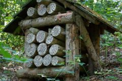 Unsortierte Hochkantfotos unsorted Photos 9/16 Naturfotograf Gerhard Kehr