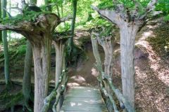 Unsortierte Hochkantfotos unsorted Photos 9/16 Naturfotograf Gerhard Kehr