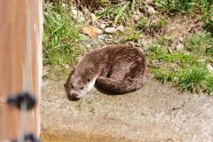 Unsortierte Hochkantfotos unsorted Photos 9/16 Naturfotograf Gerhard Kehr