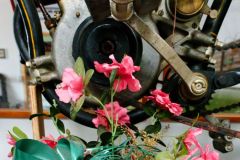 Unsortierte Hochkantfotos unsorted Photos 9/16 Naturfotograf Gerhard Kehr