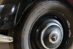 Unsortierte Hochkantfotos unsorted Photos 9/16 Naturfotograf Gerhard Kehr