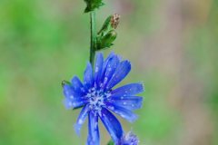 Unsortierte Hochkantfotos unsorted Photos 9/16 Naturfotograf Gerhard Kehr