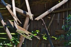 Unsortierte Hochkantfotos unsorted Photos 9/16 Naturfotograf Gerhard Kehr