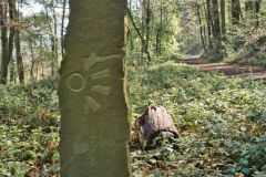 Unsortierte Hochkantfotos unsorted Photos 9/16 Naturfotograf Gerhard Kehr