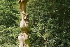 Unsortierte Hochkantfotos unsorted Photos 9/16 Naturfotograf Gerhard Kehr