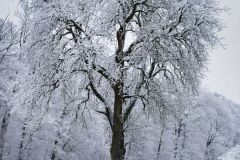 Unsortierte Hochkantfotos unsorted Photos 9/16 Naturfotograf Gerhard Kehr