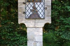 Unsortierte Hochkantfotos unsorted Photos 9/16 Naturfotograf Gerhard Kehr