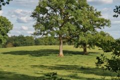 Unsortierte Hochkantfotos unsorted Photos 9/16 Naturfotograf Gerhard Kehr