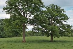 Unsortierte Hochkantfotos unsorted Photos 9/16 Naturfotograf Gerhard Kehr