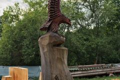 Unsortierte Hochkantfotos unsorted Photos 9/16 Naturfotograf Gerhard Kehr