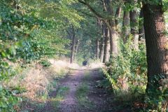 Unsortierte Hochkantfotos unsorted Photos 9/16 Naturfotograf Gerhard Kehr