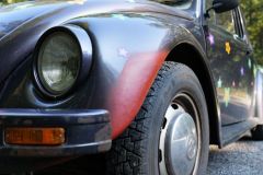 Unsortierte Hochkantfotos unsorted Photos 9/16 Naturfotograf Gerhard Kehr