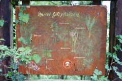 Baum Bäume Tree Trees Wald Wälder Forest Forests Naturfotograf Gerhard Kehr