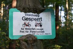 Baum Bäume Tree Trees Wald Wälder Forest Forests Naturfotograf Gerhard Kehr